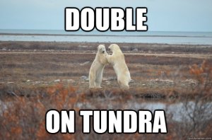 double on tundra